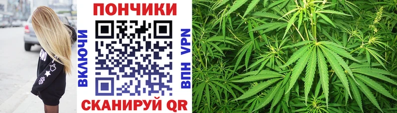 Где купить Горняк Альфа ПВП  Кокаин  ЭКСТАЗИ  Меф  Марихуана  Гашиш  Псилоцибиновые грибы 