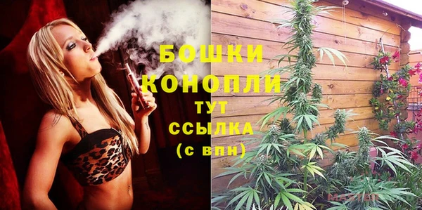 МДПВ Бородино