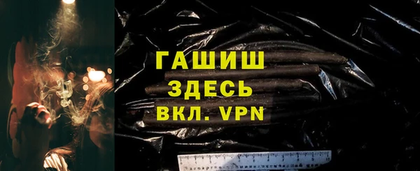 МДПВ Бородино
