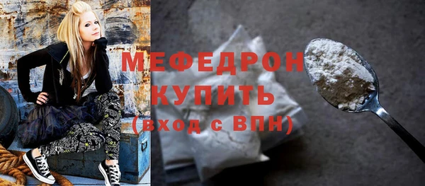 МДПВ Бородино