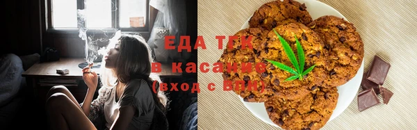 МДПВ Бородино