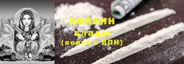 МДПВ Бородино