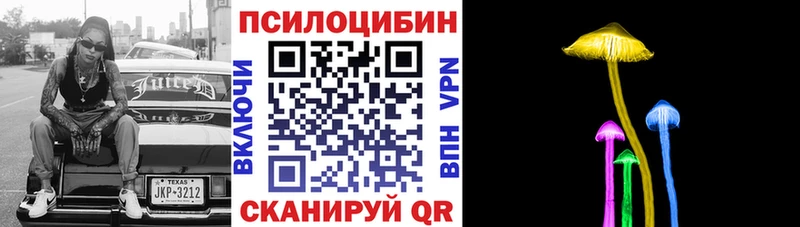 Псилоцибиновые грибы Psilocybine cubensis  Горняк 